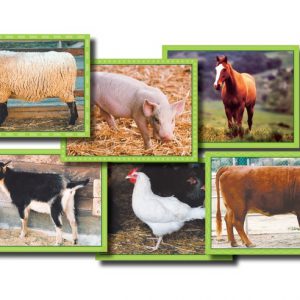 Blokkenpuzzel: Boerderijdieren  - 101 -