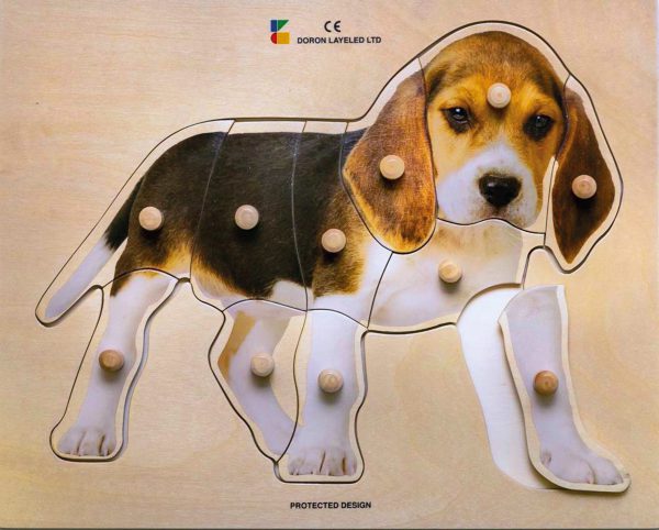 dierenpuzzel hond