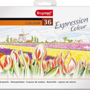 Bruynzeel Expression Colour 36